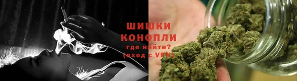 стаф Волосово