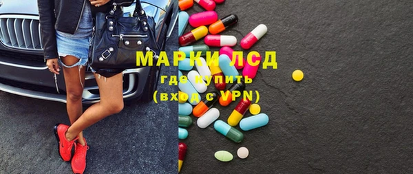 стаф Волосово