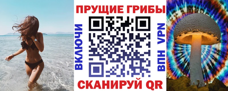 Псилоцибиновые грибы Psilocybine cubensis  купить закладку  Среднеуральск 