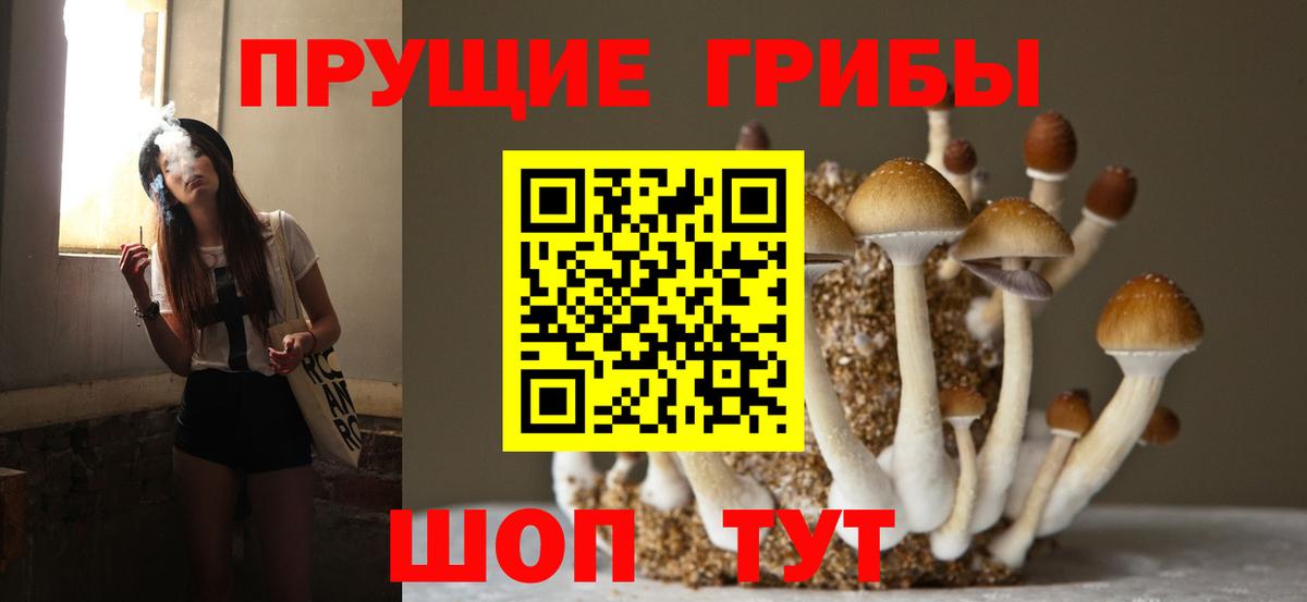 Псилоцибиновые грибы ЛСД Среднеуральск